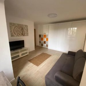 Apartament 2 camere Cismigiu | renovat