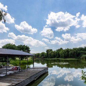 Oportunitate Rară – Vilă pe Malul Lacului Snagov | Piscina | Ponton | COMISION 0